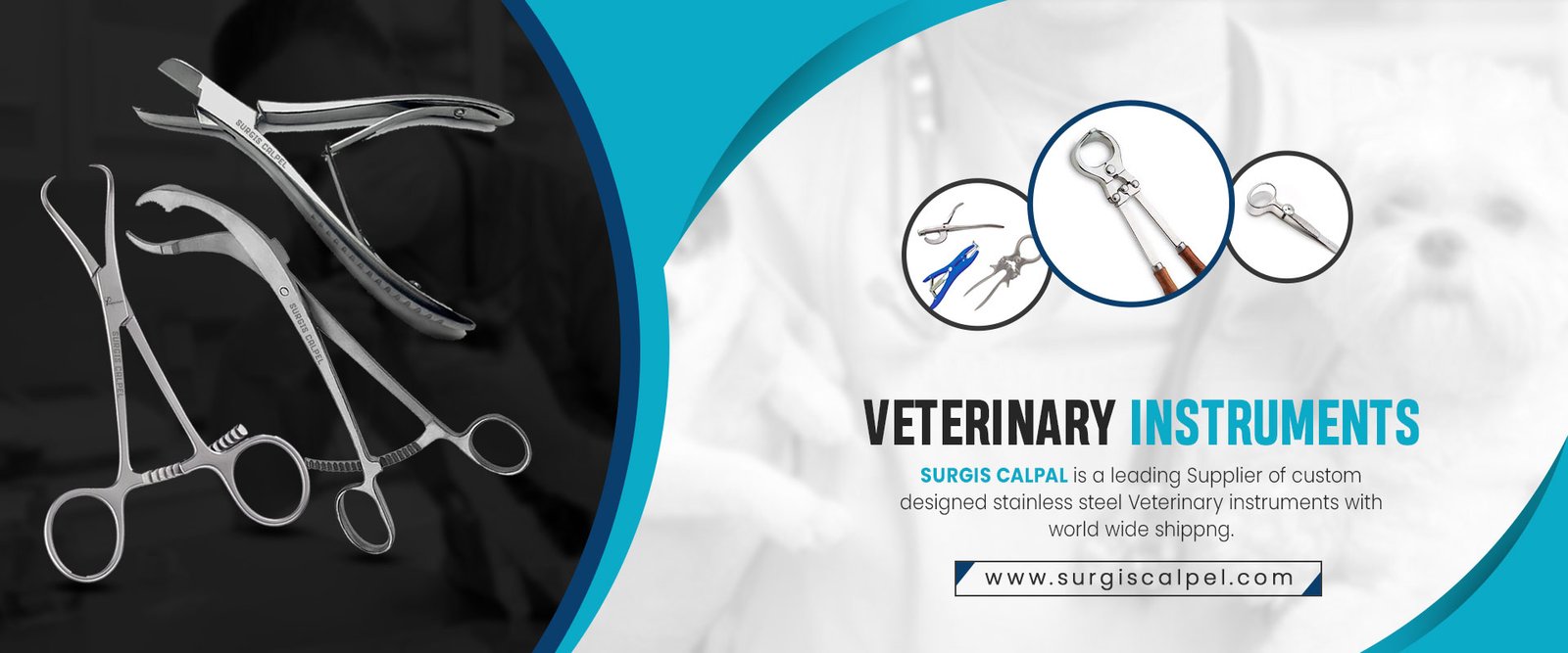 Veterinary Instruments